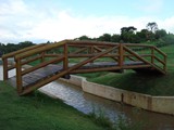 pontes-e-passarelas (1)